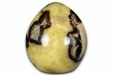 Free-Standing, Polished Septarian - Madagascar #349880-1